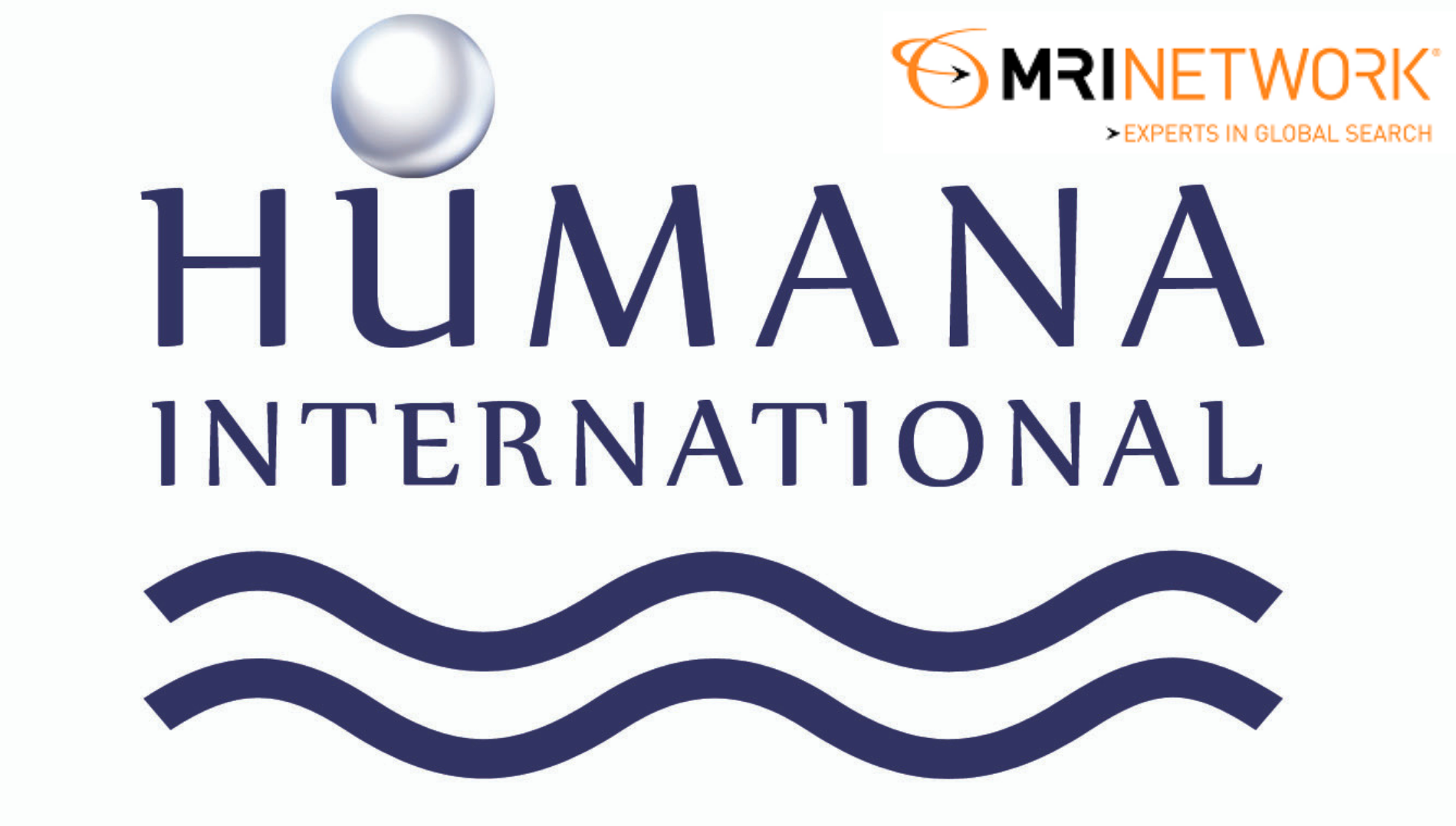 Gambar dari Head of IT   Humana International Group   Career Page